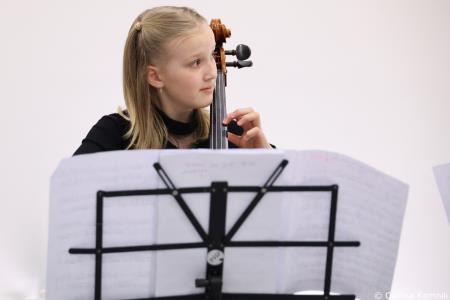 V prostorih občinske stavbe na ogled razstava literarnih in likovnih del na temo Častni občan Kamnika (31)